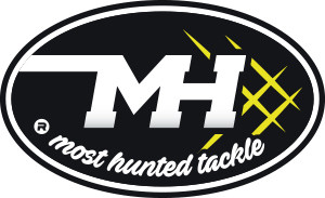 $data['details']['name']