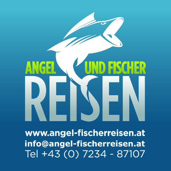 $data['details']['name']