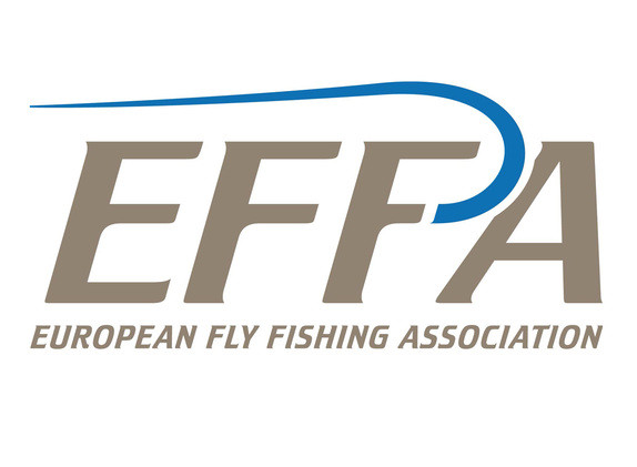 $data['details']['name']