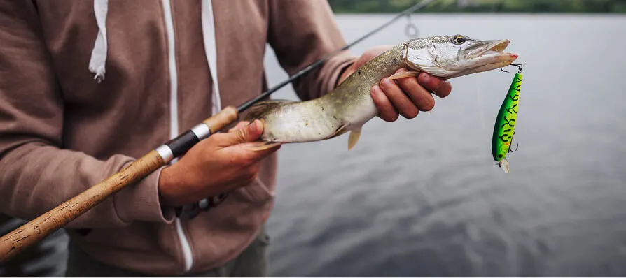Raubfisch- & Karpfenangeln